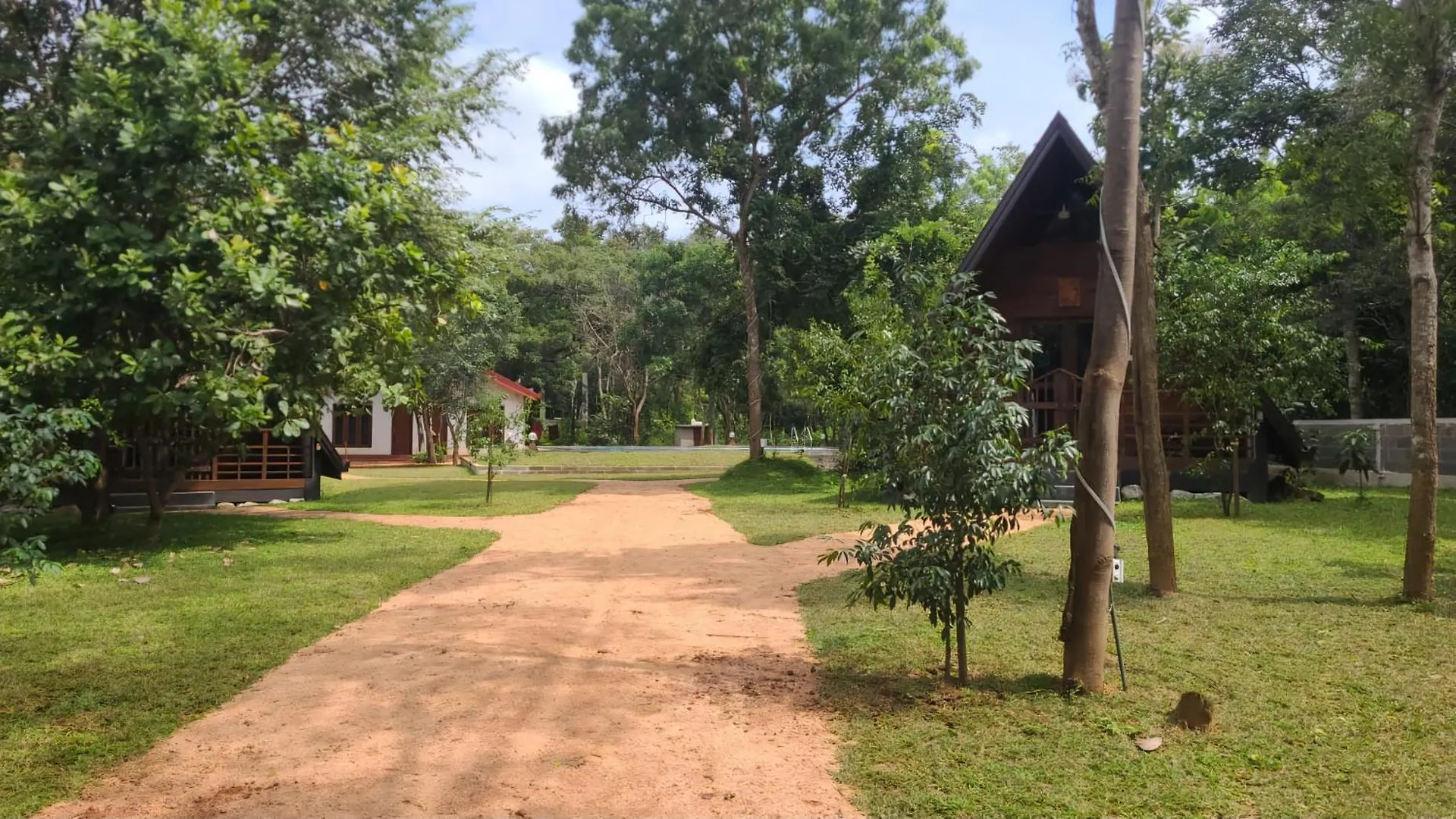 Lion King Jungle Cabanas Sigiriya Sri Lanka