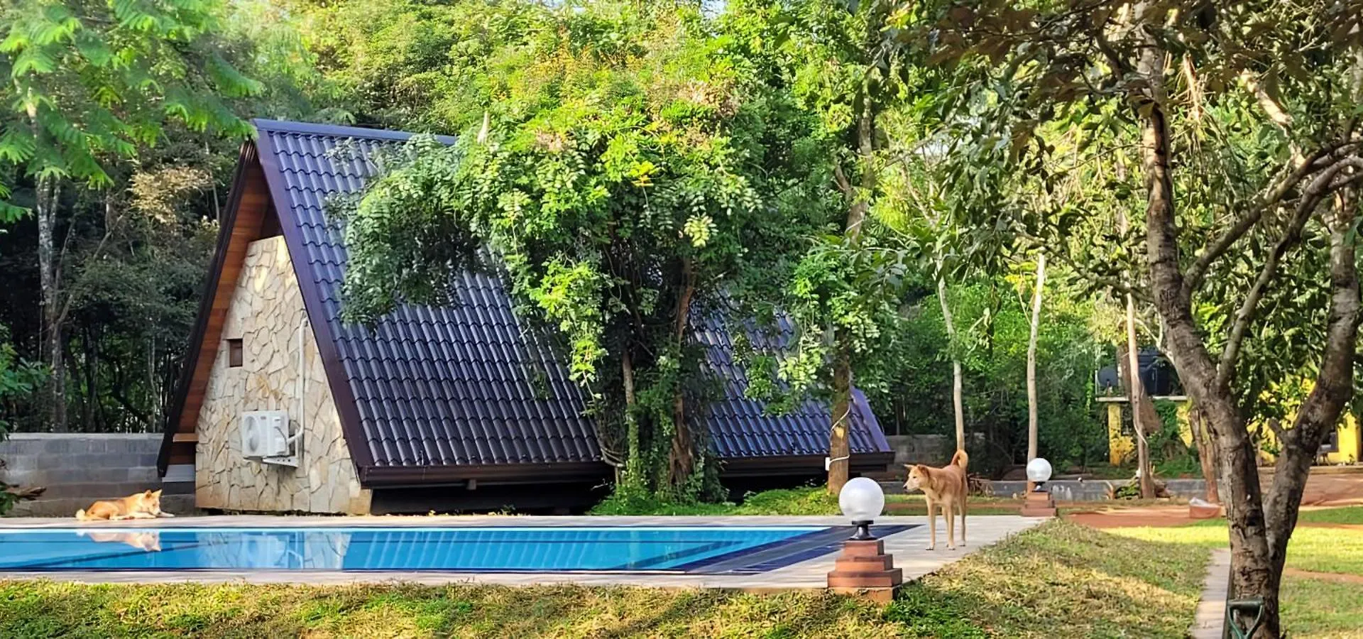 Lion King Jungle Cabanas Sigiriya Hotel