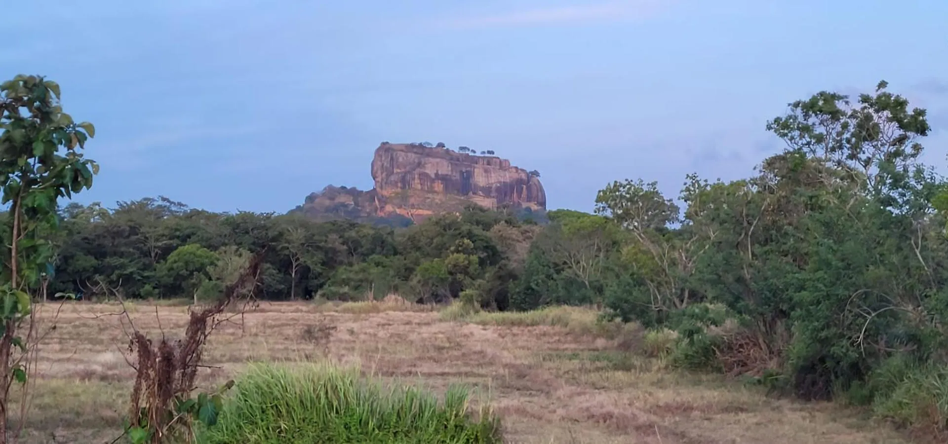Hotel Lion King Jungle Cabanas Sigiriya Sri Lanka
