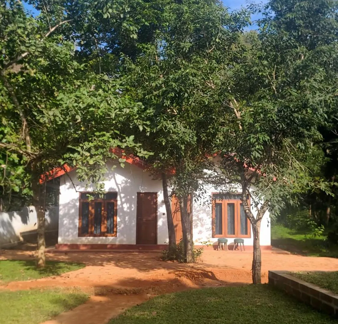 Hotel Lion King Jungle Cabanas Sigiriya