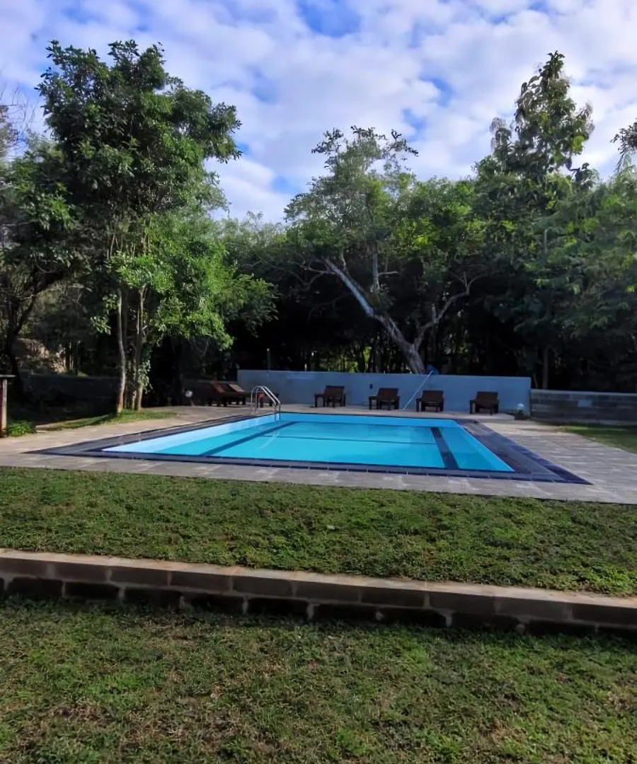 Hotel Lion King Jungle Cabanas Sigiriya Sri Lanka
